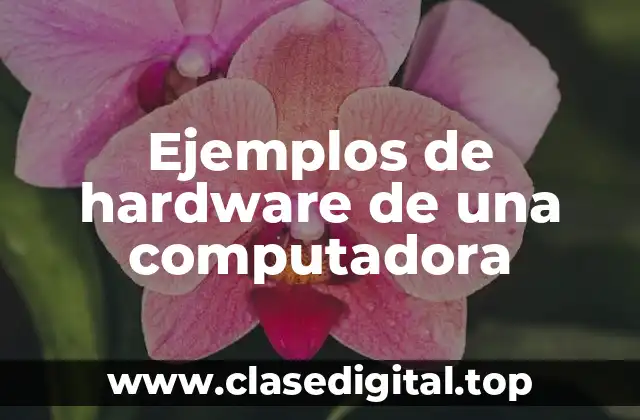 Ejemplos de hardware de una computadora