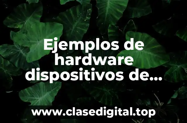 Ejemplos de hardware dispositivos de entrada y Significado