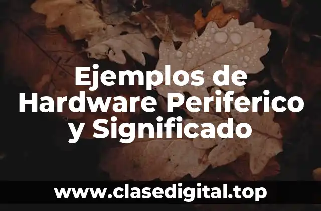 Ejemplos de Hardware Periferico