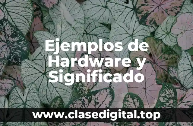 Ejemplos de Hardware y Significado