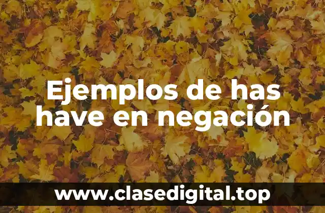 Ejemplos de has have en negación