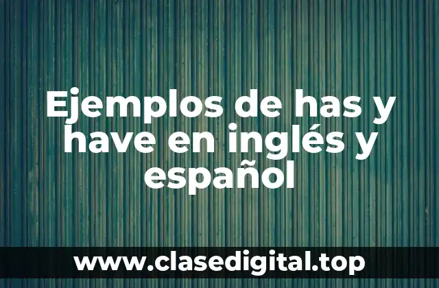 Ejemplos de has y have en inglés y español