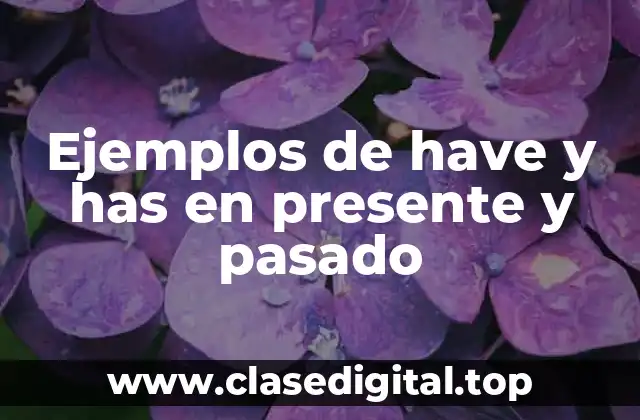 Ejemplos de have y has en presente y pasado