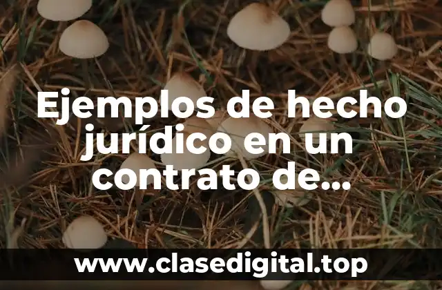 Ejemplos de hecho jurídico en un contrato de arrendamiento y Significado