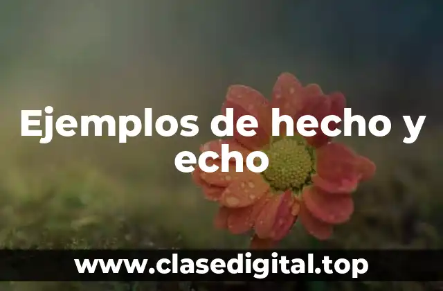 Ejemplos de hecho y echo