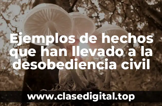 Ejemplos de hechos que han llevado a la desobediencia civil