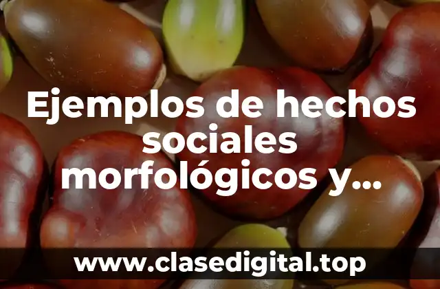Ejemplos de hechos sociales morfológicos y Significado