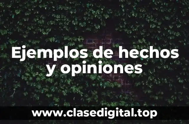 Ejemplos de hechos y opiniones