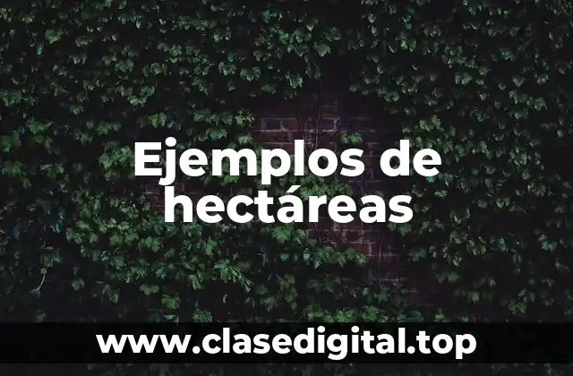 Ejemplos de hectáreas