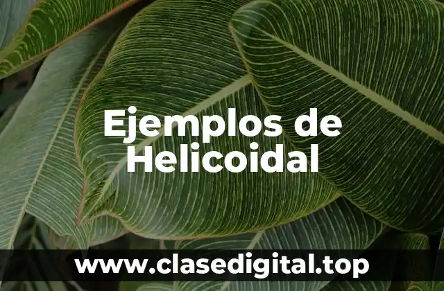 Ejemplos de Helicoidal