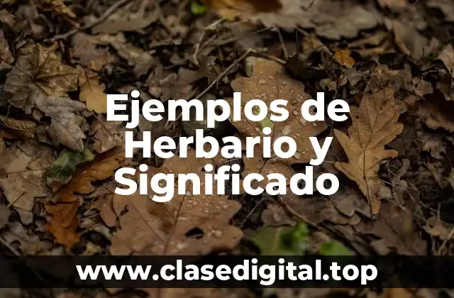 Ejemplos de Herbario y Significado