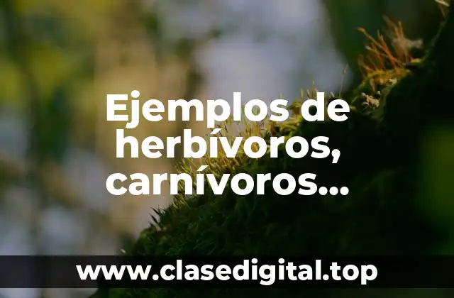 Ejemplos de herbívoros, carnívoros, omnívoros, insectívoros y los