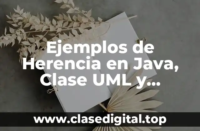 Ejemplos de Herencia en Java