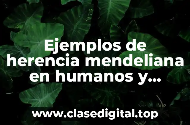 Ejemplos de herencia mendeliana en humanos y Significado