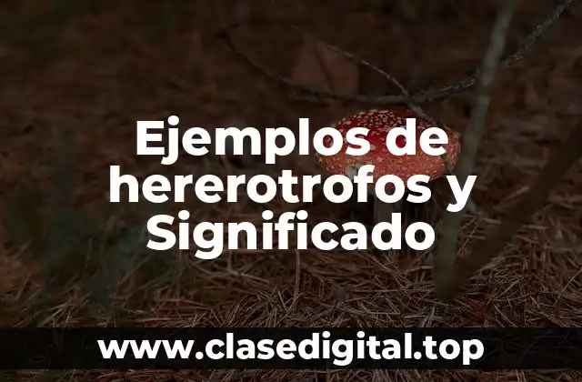 Ejemplos de hererotrofos y Significado