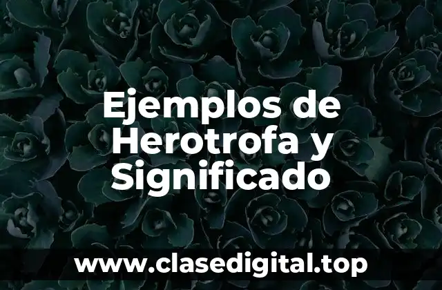 Ejemplos de Herotrofa y Significado