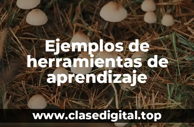 Ejemplos de herramientas de aprendizaje