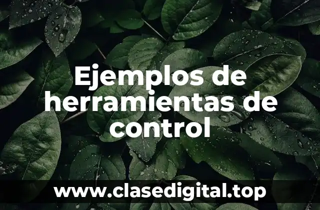 Ejemplos de herramientas de control
