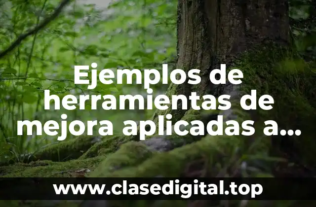 Ejemplos de herramientas de mejora aplicadas a una empresa y Significado