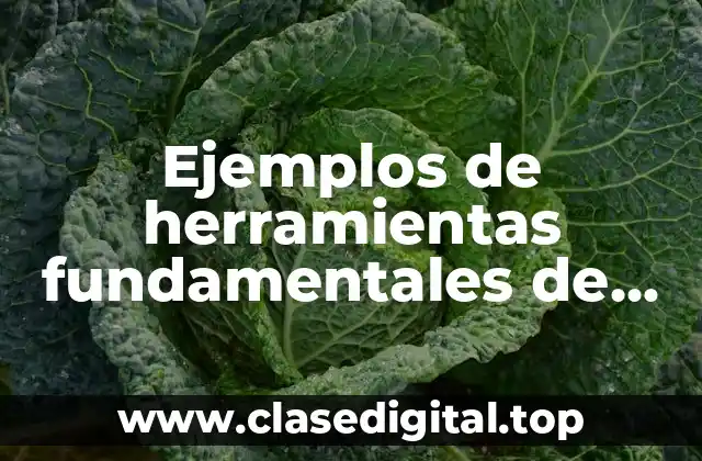 Ejemplos de herramientas fundamentales de matemáticas para alumnos de