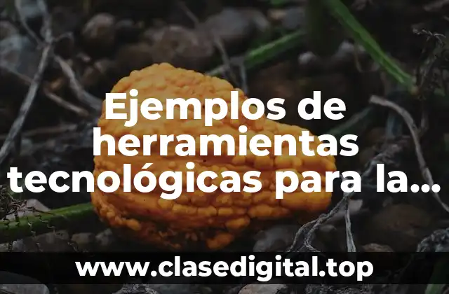 Ejemplos de herramientas tecnológicas para la toma de decisiones