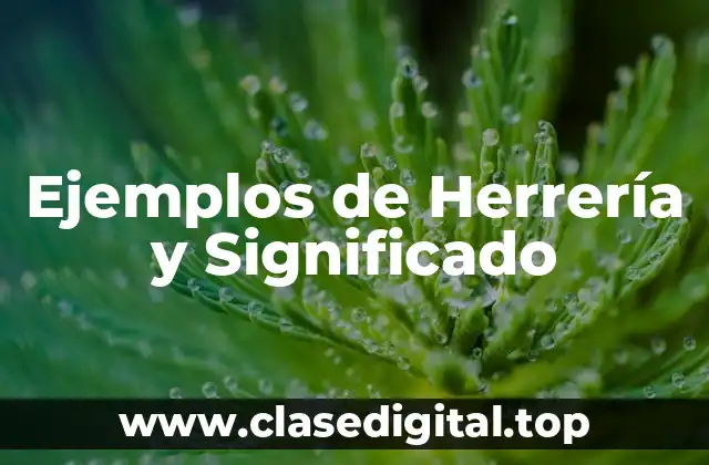 Ejemplos de Herrería y Significado