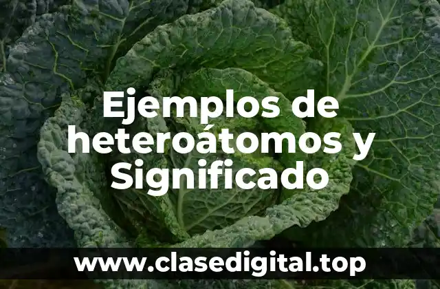 Ejemplos de heteroátomos y Significado