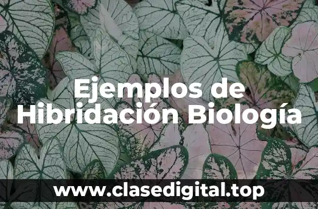 Ejemplos de Hibridación Biología