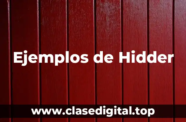 Ejemplos de Hidder