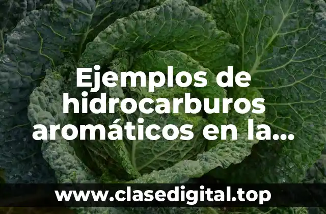 Ejemplos de hidrocarburos aromáticos en la vida cotidiana