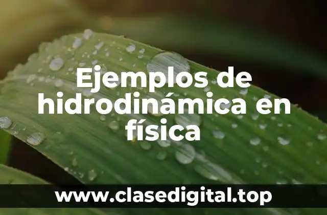 Ejemplos de hidrodinámica en física