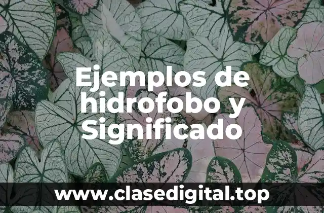 Ejemplos de hidrofobo y Significado