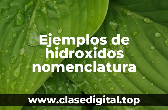 Ejemplos de hidroxidos