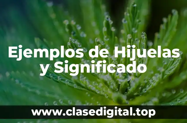 Ejemplos de Hijuelas y Significado