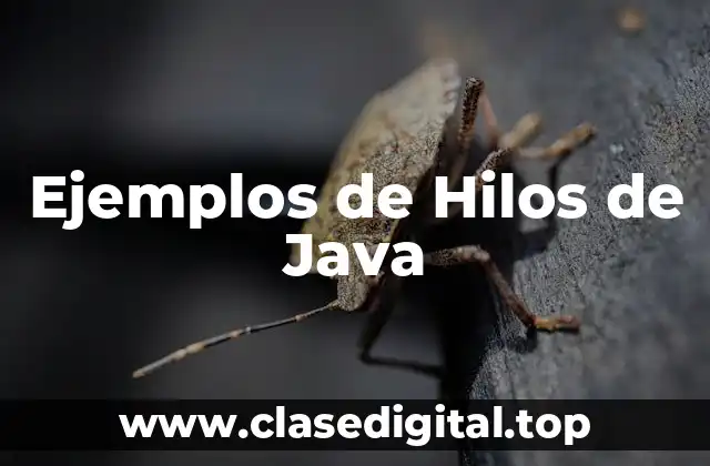 Ejemplos de Hilos de Java