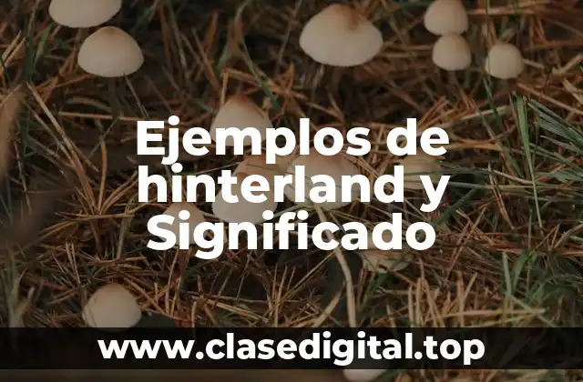 Ejemplos de hinterland y Significado