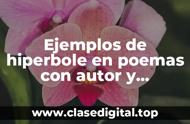 Ejemplos de hiperbole en poemas con autor y Significado