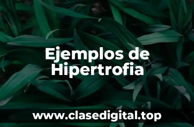 Ejemplos de Hipertrofia