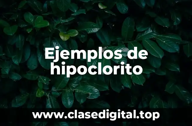 Ejemplos de hipoclorito