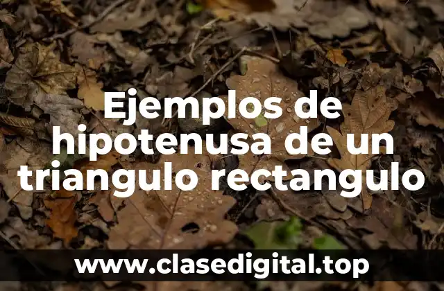 Ejemplos de hipotenusa de un triangulo rectangulo