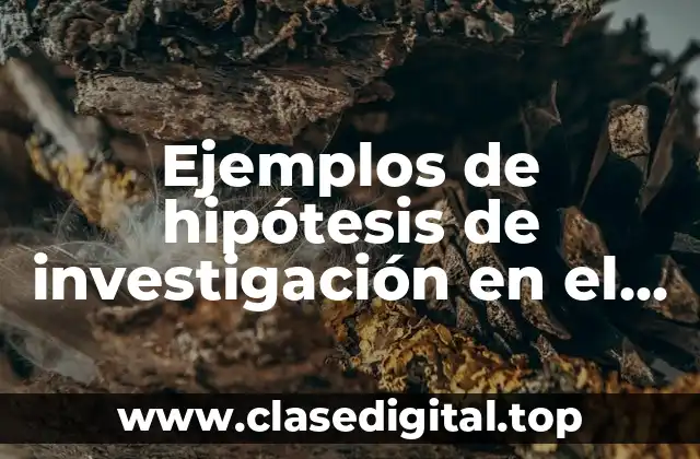 Ejemplos de hipótesis de investigación en el tema ley laboral