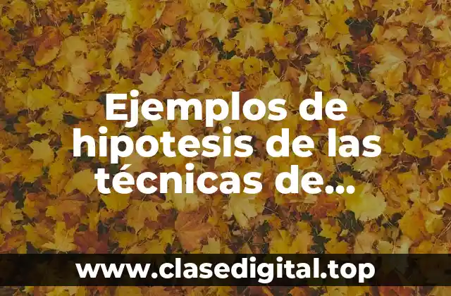 Ejemplos de hipotesis de las técnicas de investigación de campo