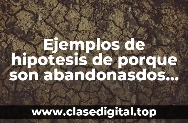 Ejemplos de hipotesis de porque son abandonasdos los perritos