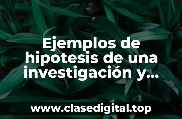 Ejemplos de hipotesis de una investigación y Significado