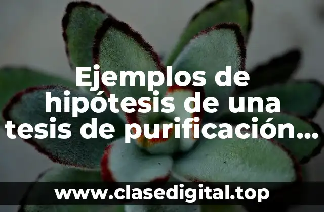 Ejemplos de hipótesis de una tesis de purificación de agua
