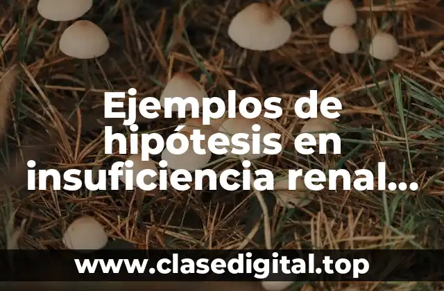 Ejemplos de hipótesis en insuficiencia renal crónica y Significado