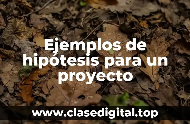 Ejemplos de hipótesis para un proyecto