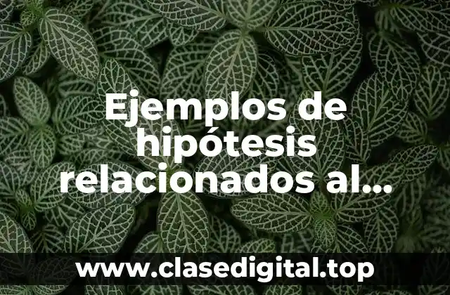 Ejemplos de hipótesis relacionados al problema de comprensión lectora
