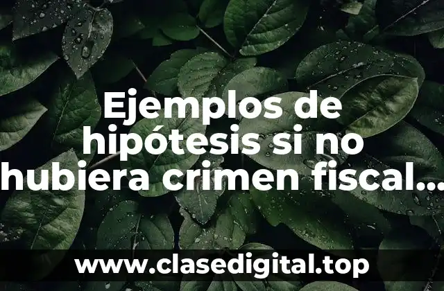 Ejemplos de hipótesis si no hubiera crimen fiscal en empresas
