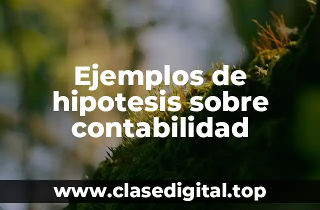 Ejemplos de hipotesis sobre contabilidad